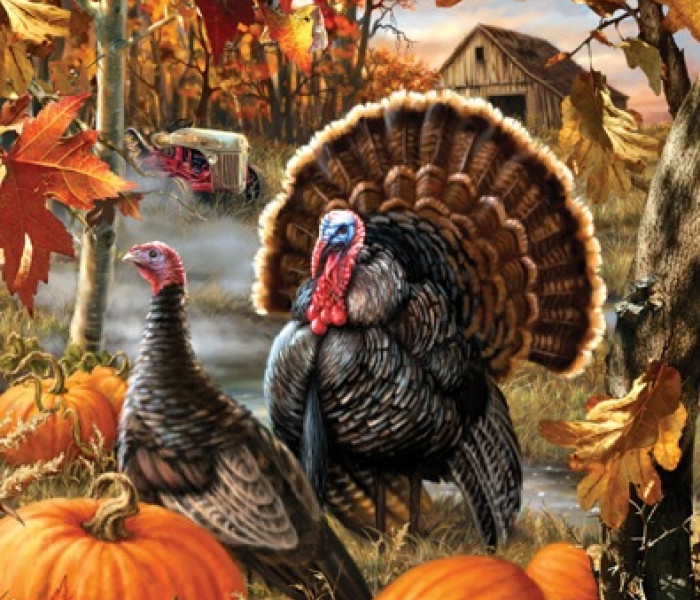 Puzzle - Sunsout - Tacchini in autunno