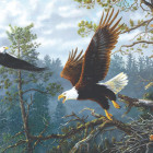 Puzzle - Sunsout - Nido dell Aquila