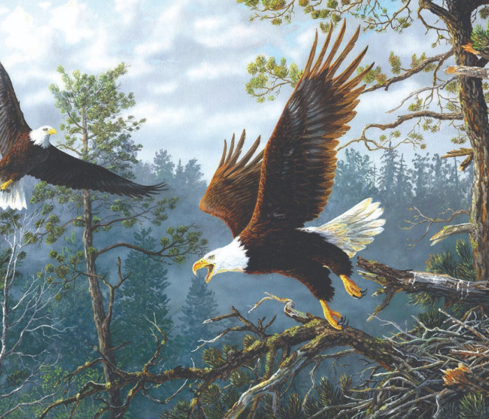 Puzzle - Sunsout - Nido dell Aquila