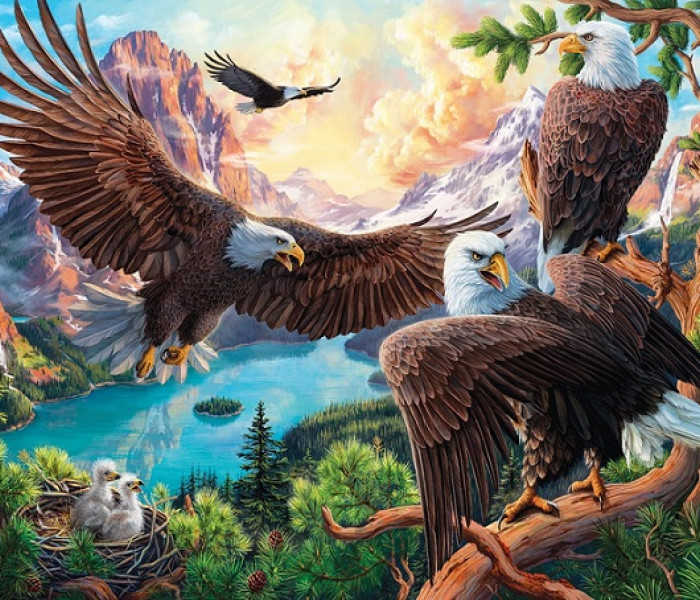 Puzzle - Sunsout - Aquile