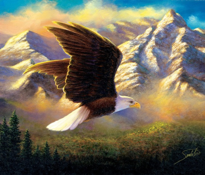 Puzzle - Sunsout - Aquila