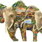 Puzzle - Sunsout - Elefanti