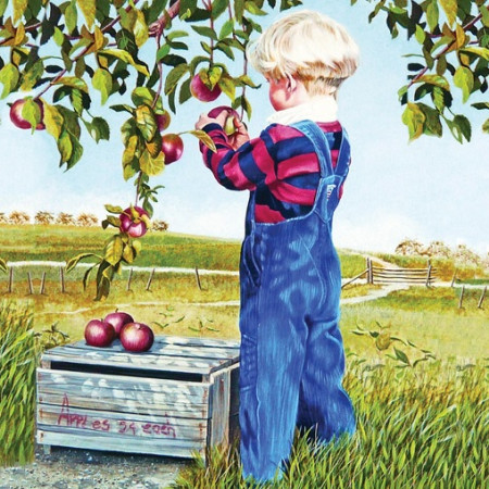 Raccolta delle mele