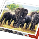 Puzzle - Trefl - Elefanti africani