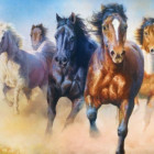 Puzzle - Trefl - Cavalli al galoppo