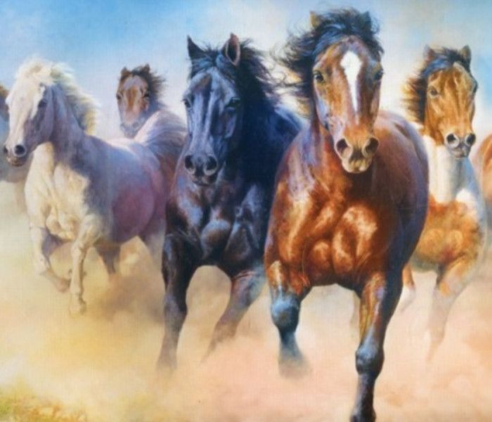 Puzzle - Trefl - Cavalli al galoppo