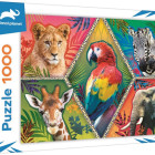 Puzzle - Trefl - Animali esotici