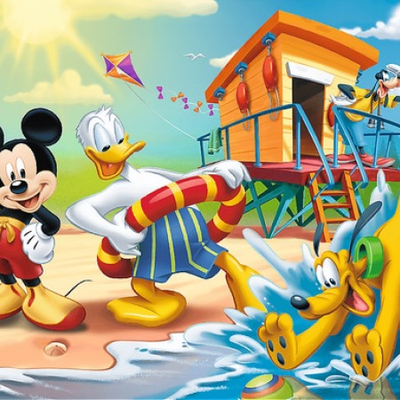 Topolino sulla spiaggia