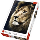 Puzzle - Trefl - Ritratto di un leone