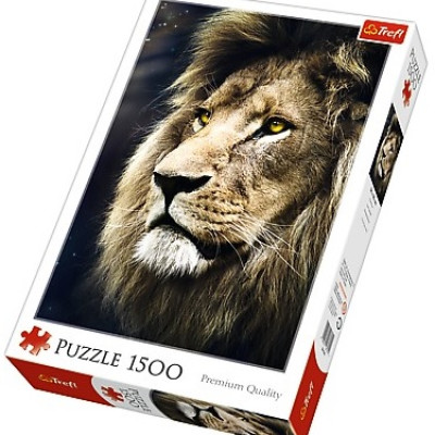 Ritratto di un leone