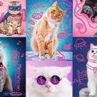 Puzzle - Trefl - Super gatti