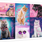 Puzzle - Trefl - Super gatti