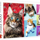 Puzzle - Trefl - Gatti