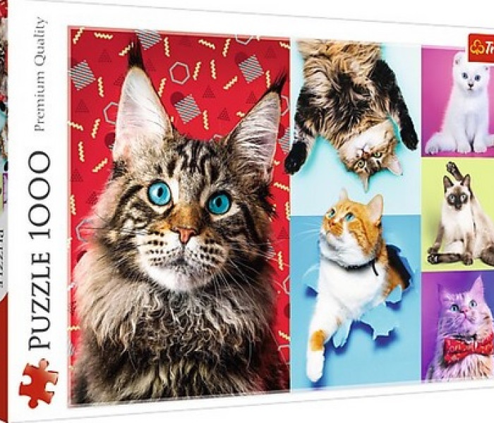 Puzzle - Trefl - Gatti