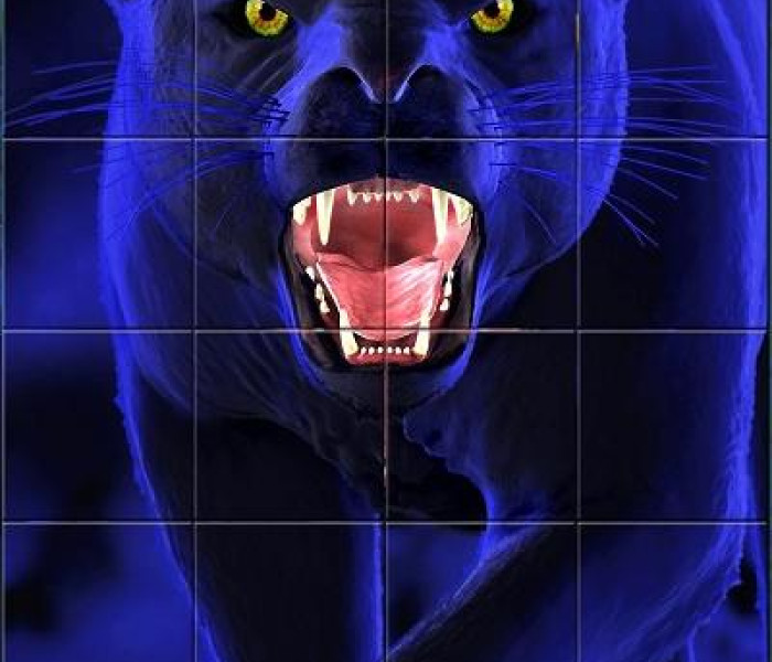 Puzzle - Piatnik - Pantera - Puzzle con effetto 3D