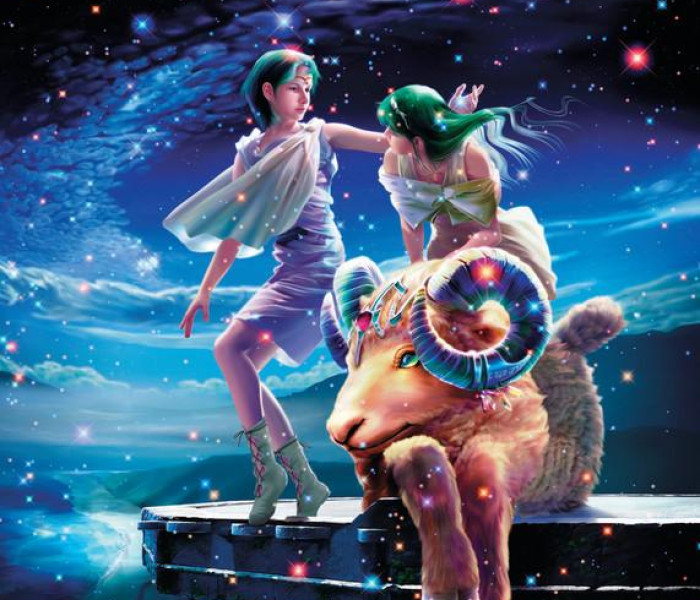 Puzzle - Zdeko - Tanul