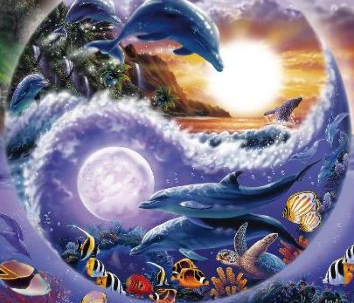 Puzzle - Zdeko - Il ciclo della vita