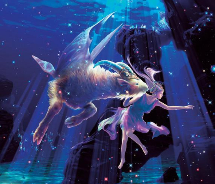 Puzzle - Zdeko - Capricorno