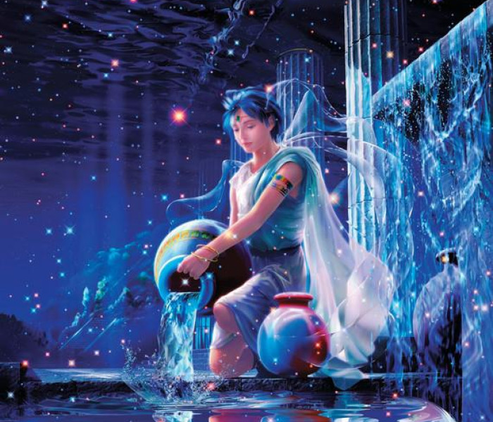 Puzzle - Zdeko - Acquario