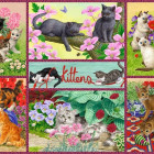 Puzzle - Falcon - Gattini giocosi