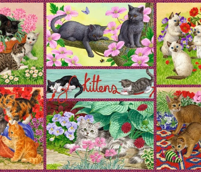 Puzzle - Falcon - Gattini giocosi